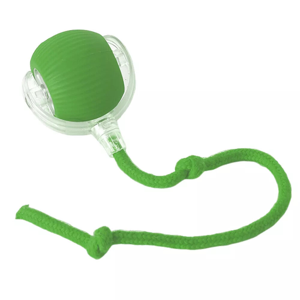 Automatic Rolling Ball Smart Cat Dog Toy Electric Pet Interactive Self-Moving