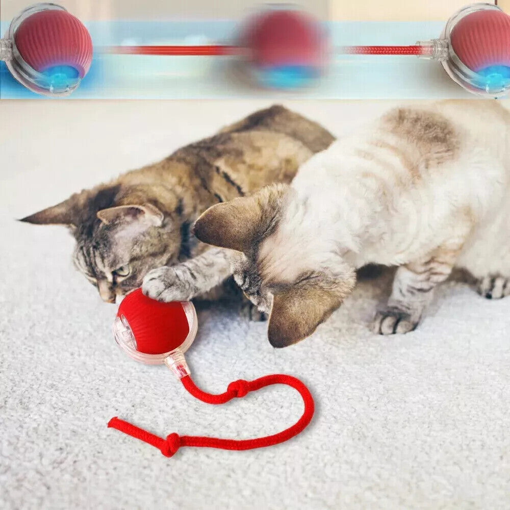 Automatic Rolling Ball Smart Cat Dog Toy Electric Pet Interactive Self-Moving