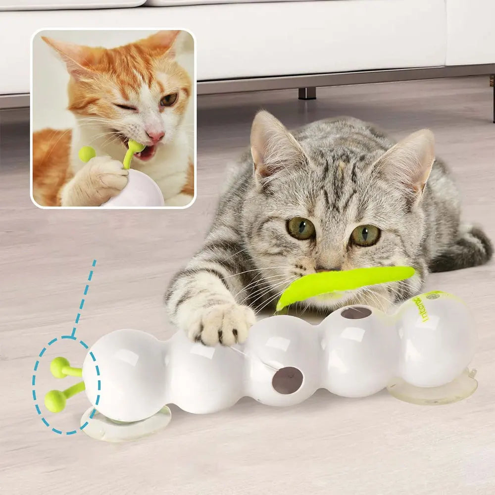 Interactive Caterpillar Cat Toy