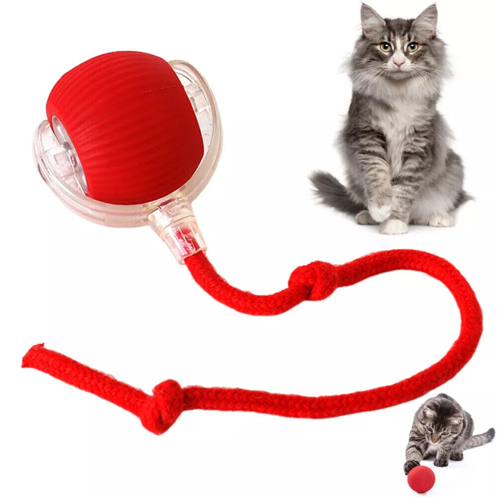 Automatic Rolling Ball Smart Cat Dog Toy Electric Pet Interactive Self-Moving