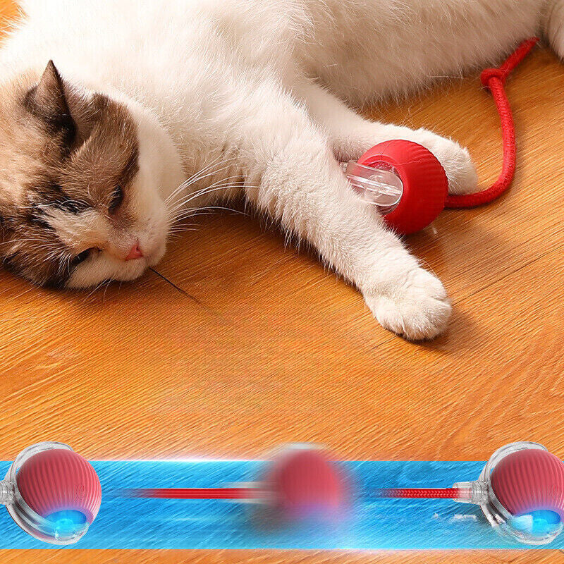 Automatic Rolling Ball Smart Cat Dog Toy Electric Pet Interactive Self-Moving