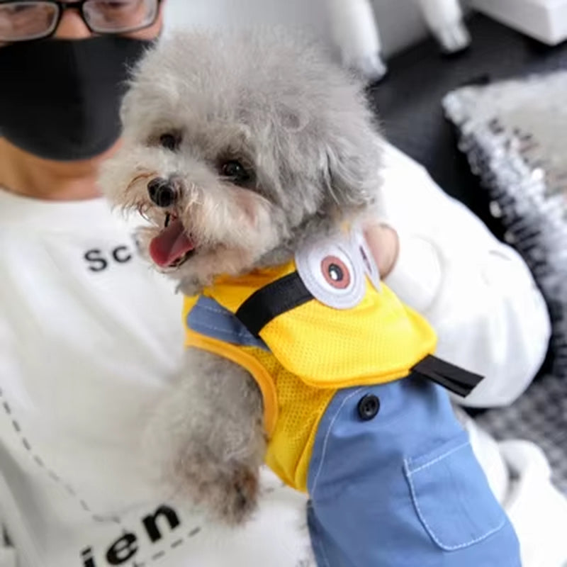 Stich Dog Clothes