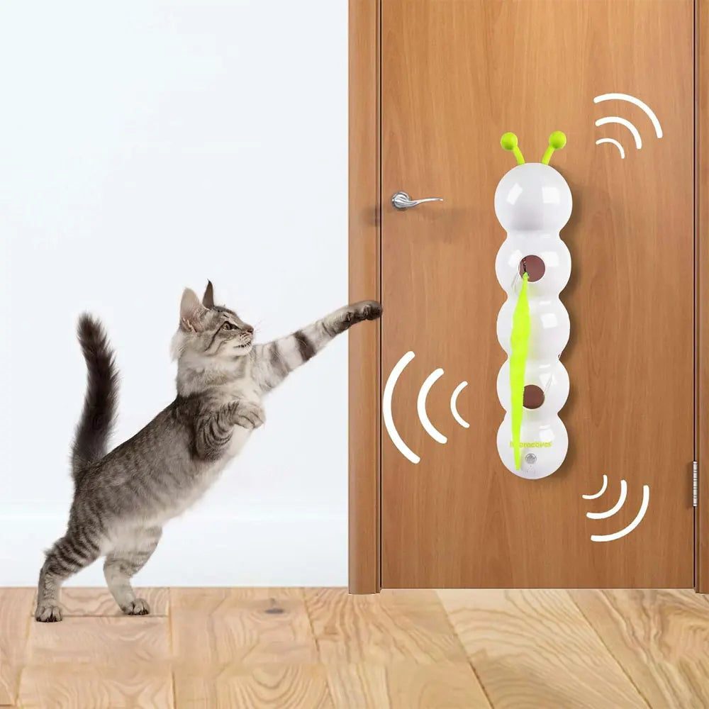 Interactive Caterpillar Cat Toy