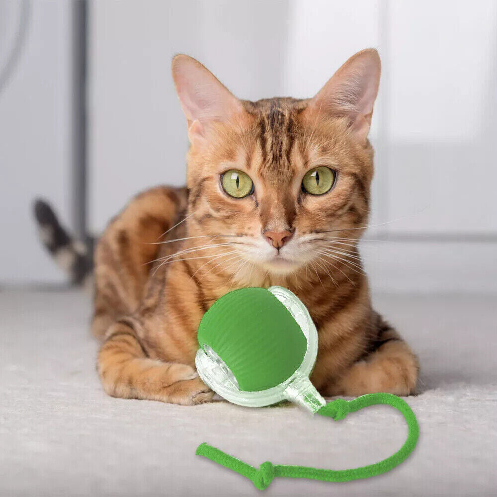 Automatic Rolling Ball Smart Cat Dog Toy Electric Pet Interactive Self-Moving