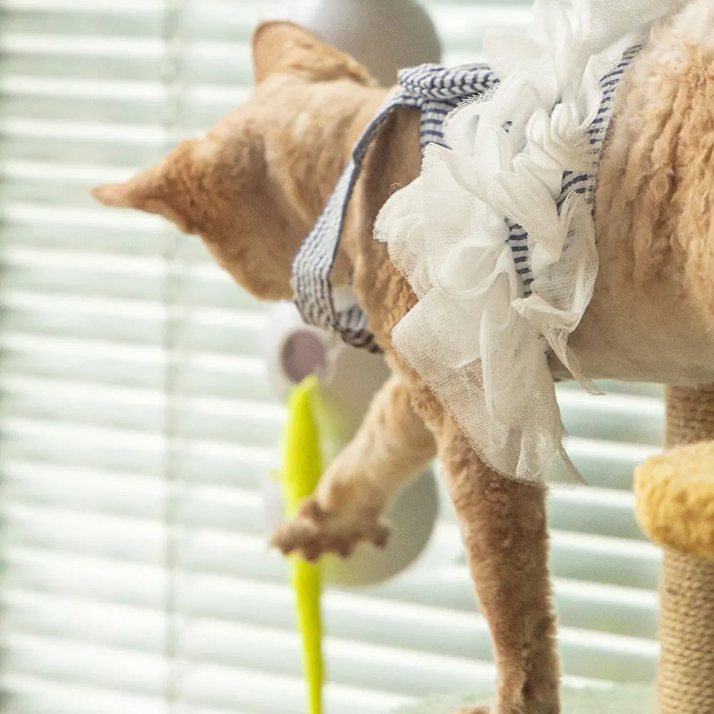 Interactive Caterpillar Cat Toy