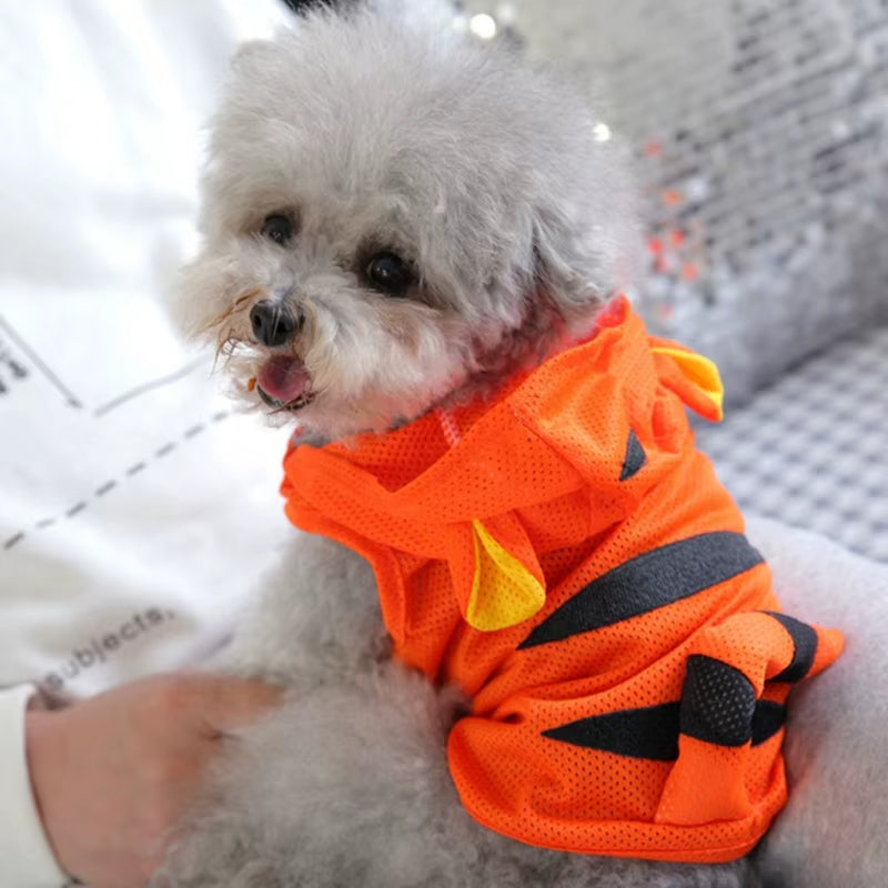 Stich Dog Clothes