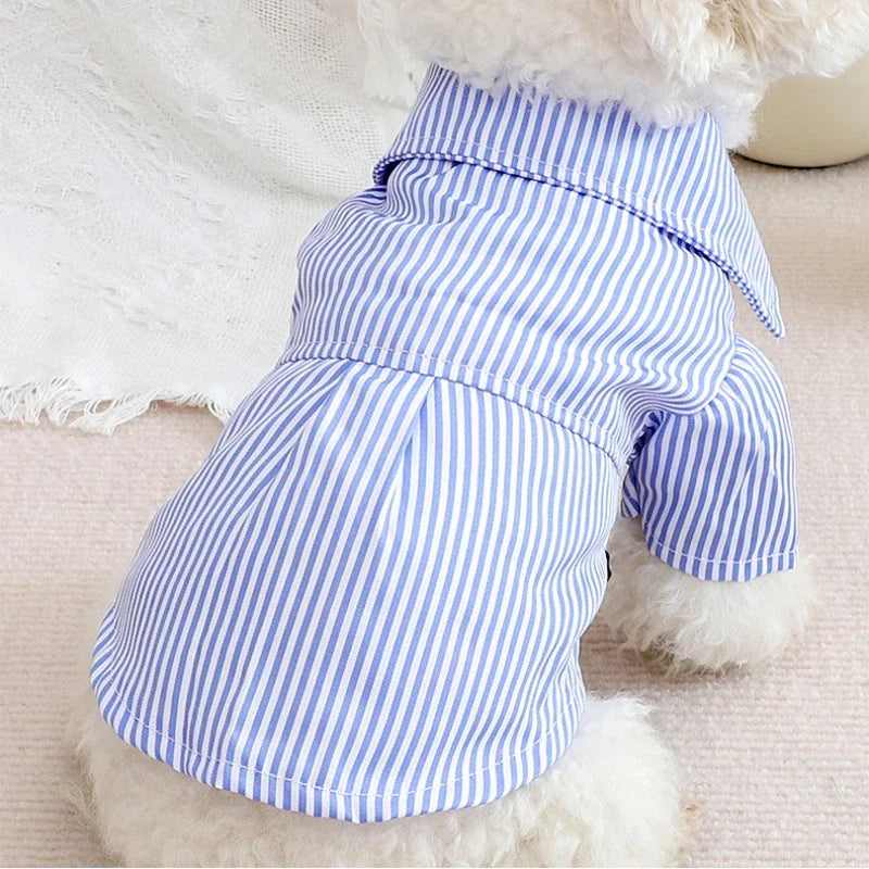Bowknot Striped Pet Shirt