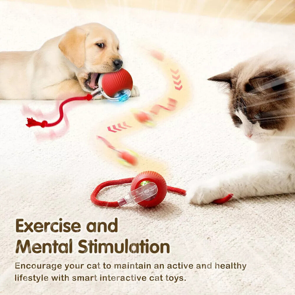 Automatic Rolling Ball Smart Cat Dog Toy Electric Pet Interactive Self-Moving