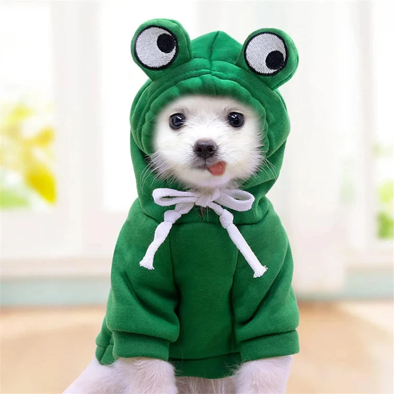 Cozy Pet Hoodie