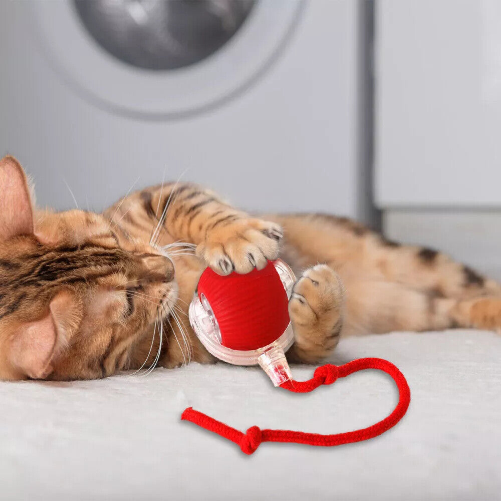 Automatic Rolling Ball Smart Cat Dog Toy Electric Pet Interactive Self-Moving