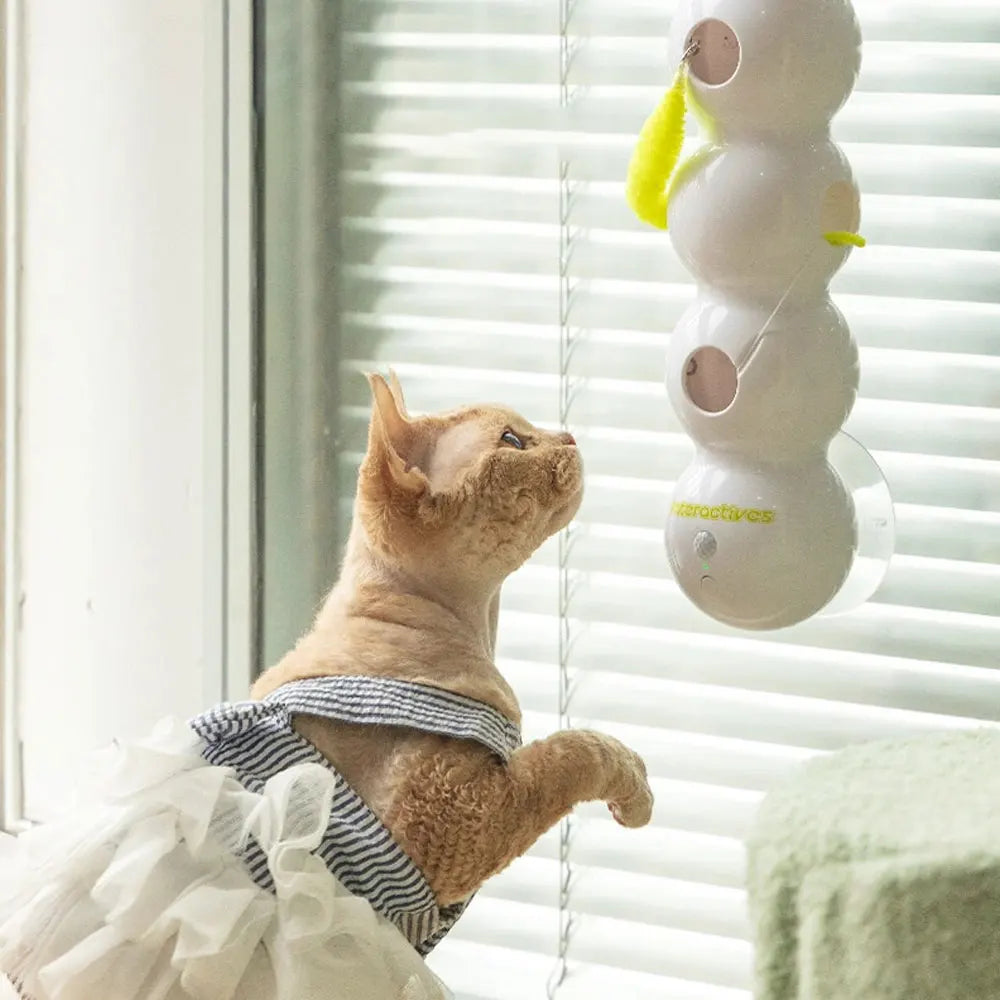 Interactive Caterpillar Cat Toy