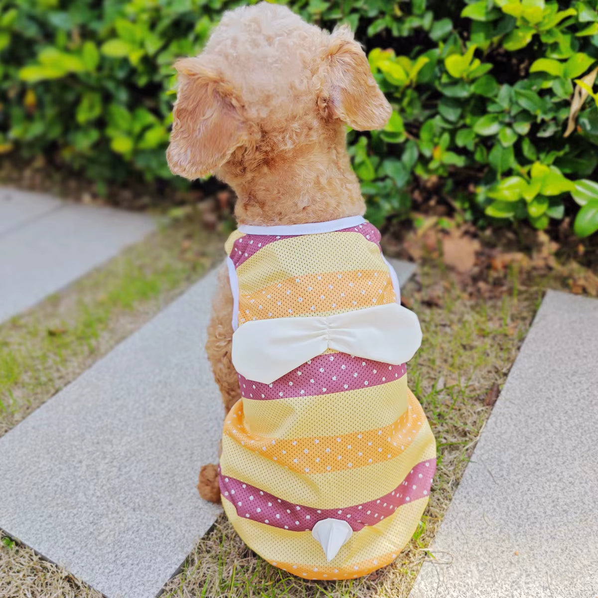Stich Dog Clothes
