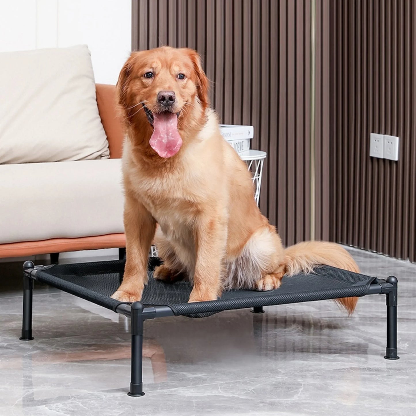 Elevated Pet Bed