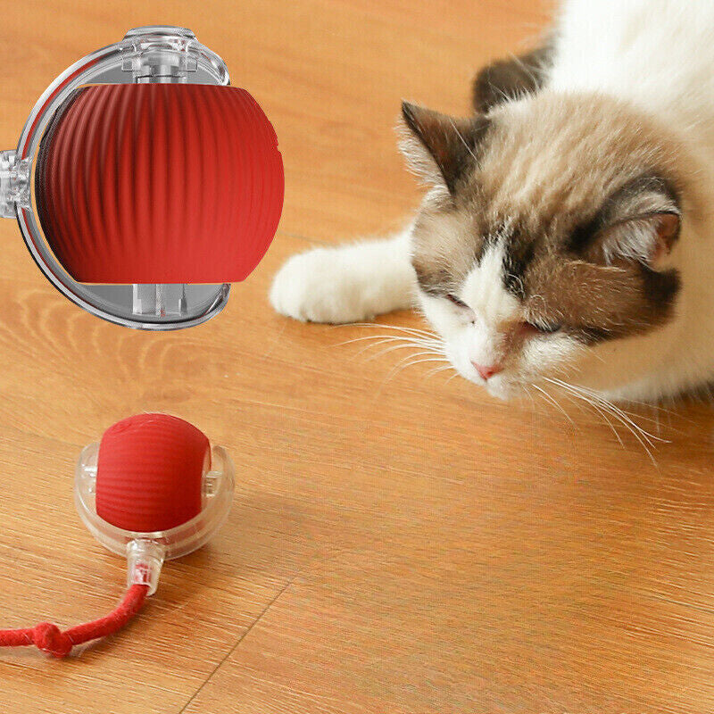 Automatic Rolling Ball Smart Cat Dog Toy Electric Pet Interactive Self-Moving
