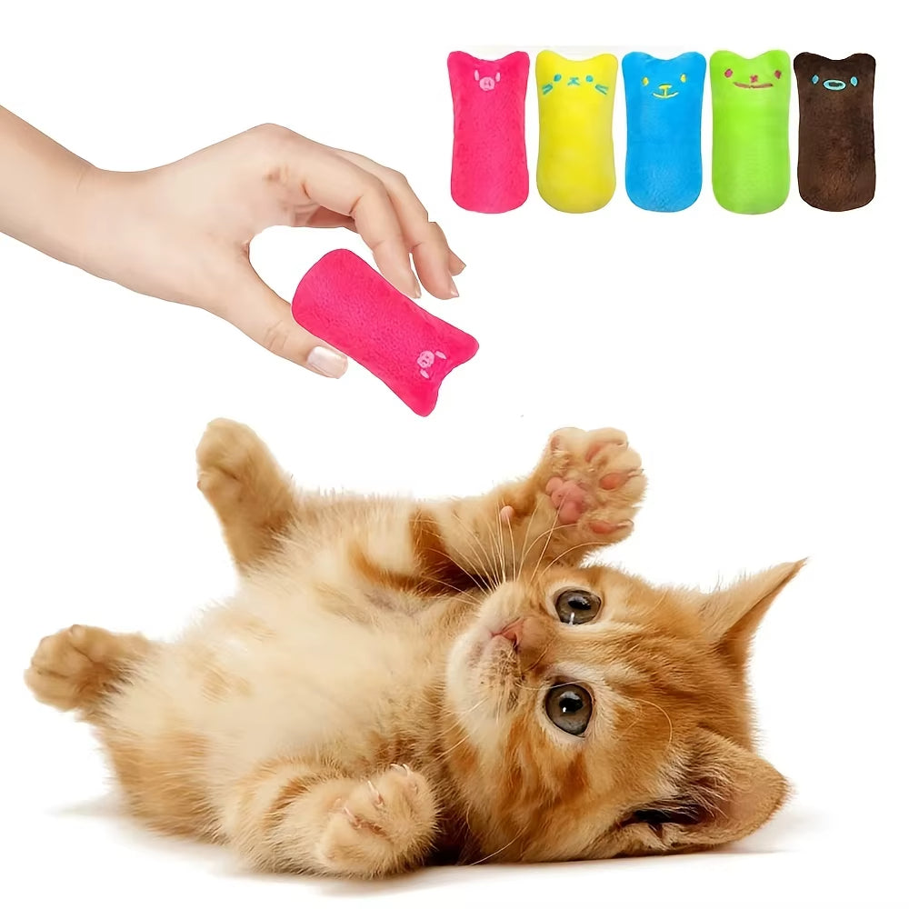 catnip