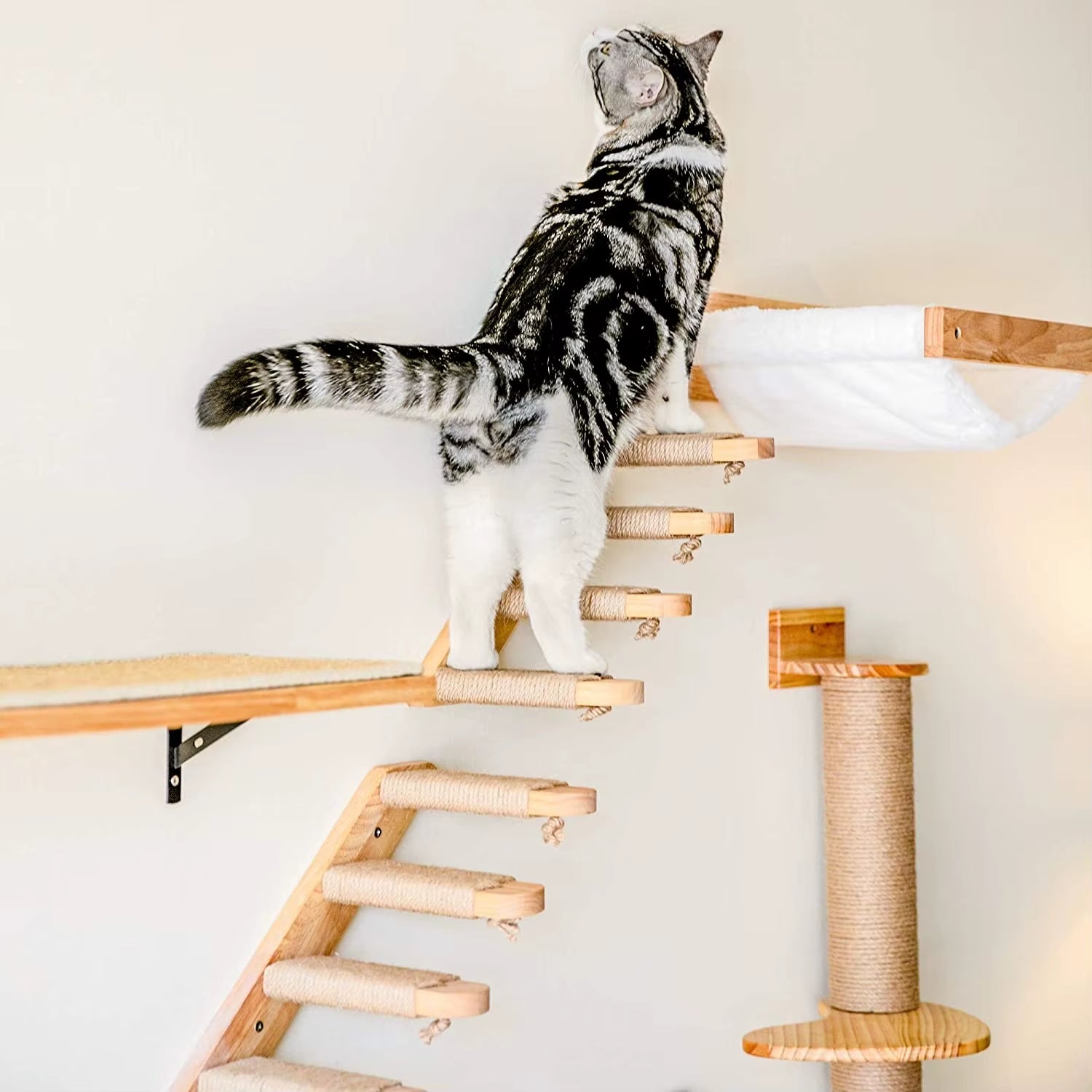 Wall-Mounted Cat Hammock Bed