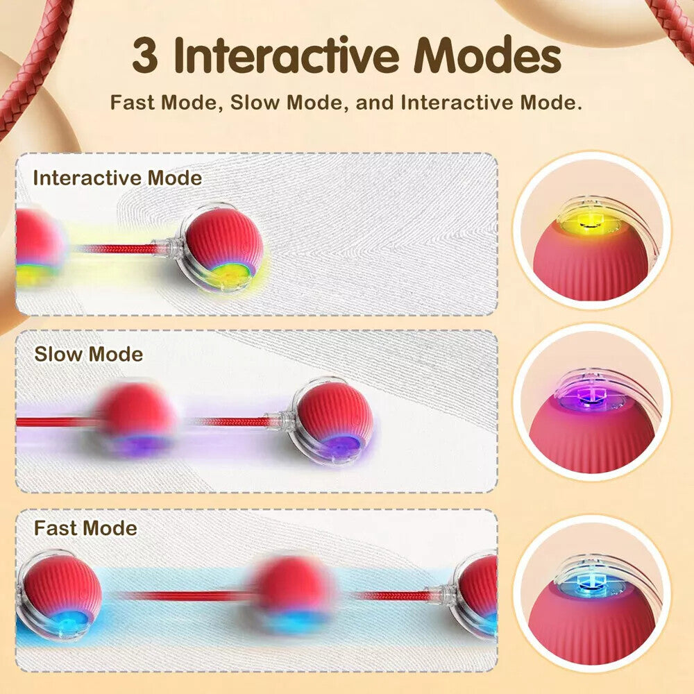 Automatic Rolling Ball Smart Cat Dog Toy Electric Pet Interactive Self-Moving