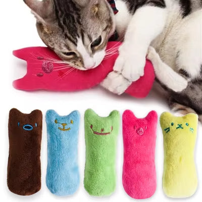 catnip chewer
