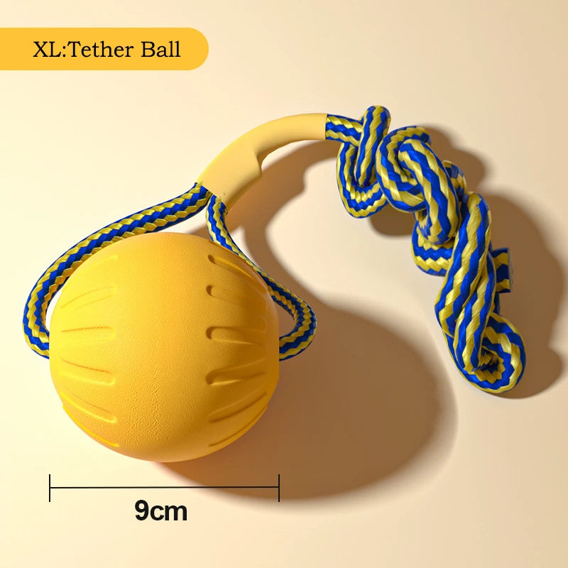 EVA Durable Dog Toys Pack