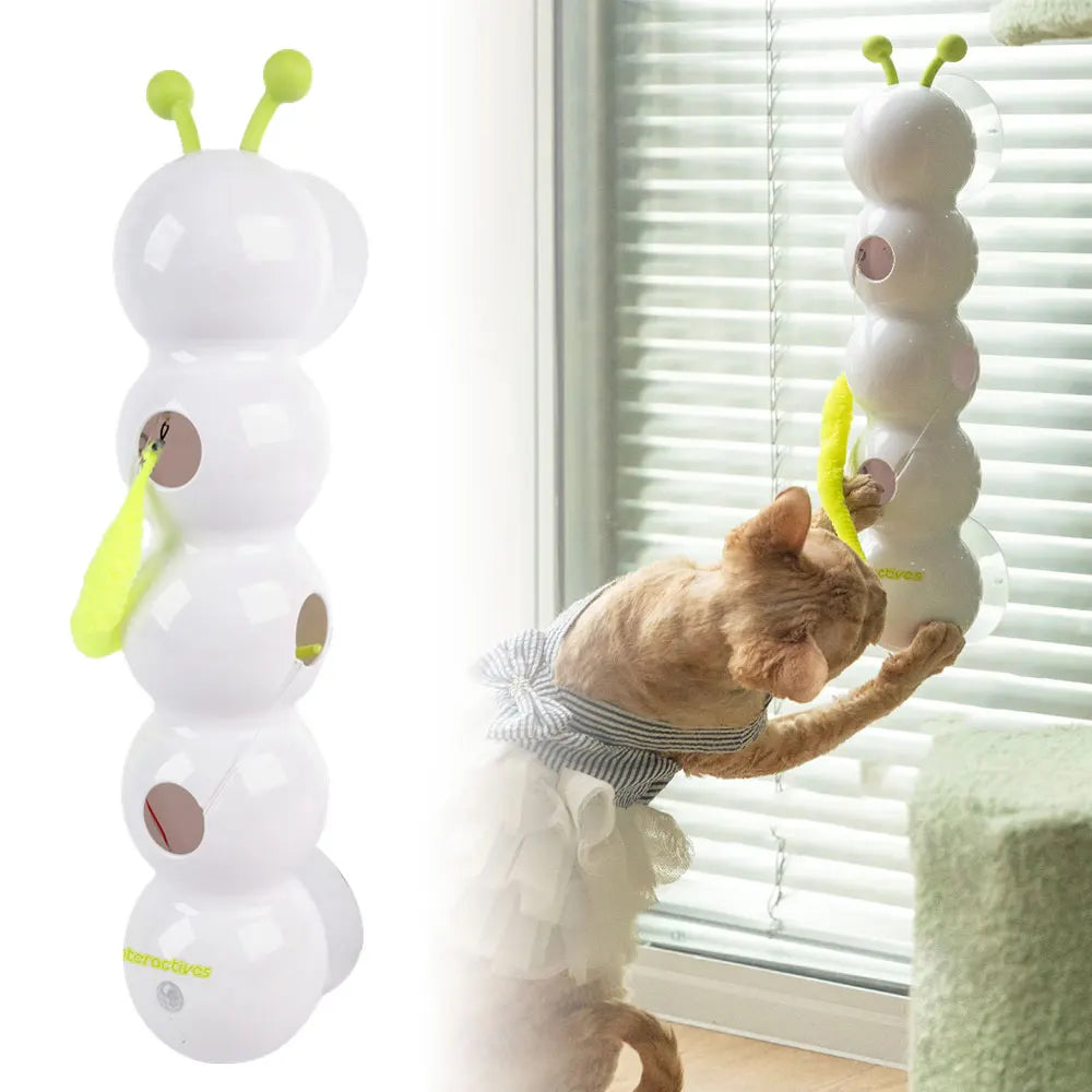 Interactive Caterpillar Cat Toy