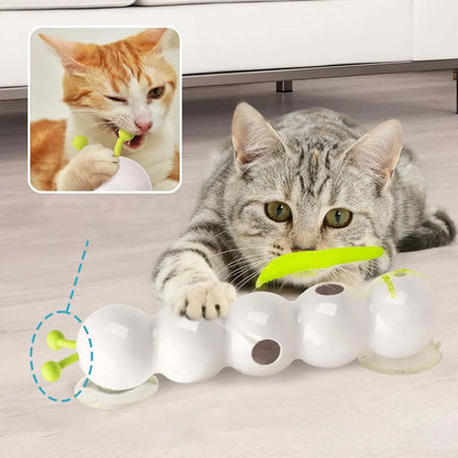 Interactive Caterpillar Cat Toy