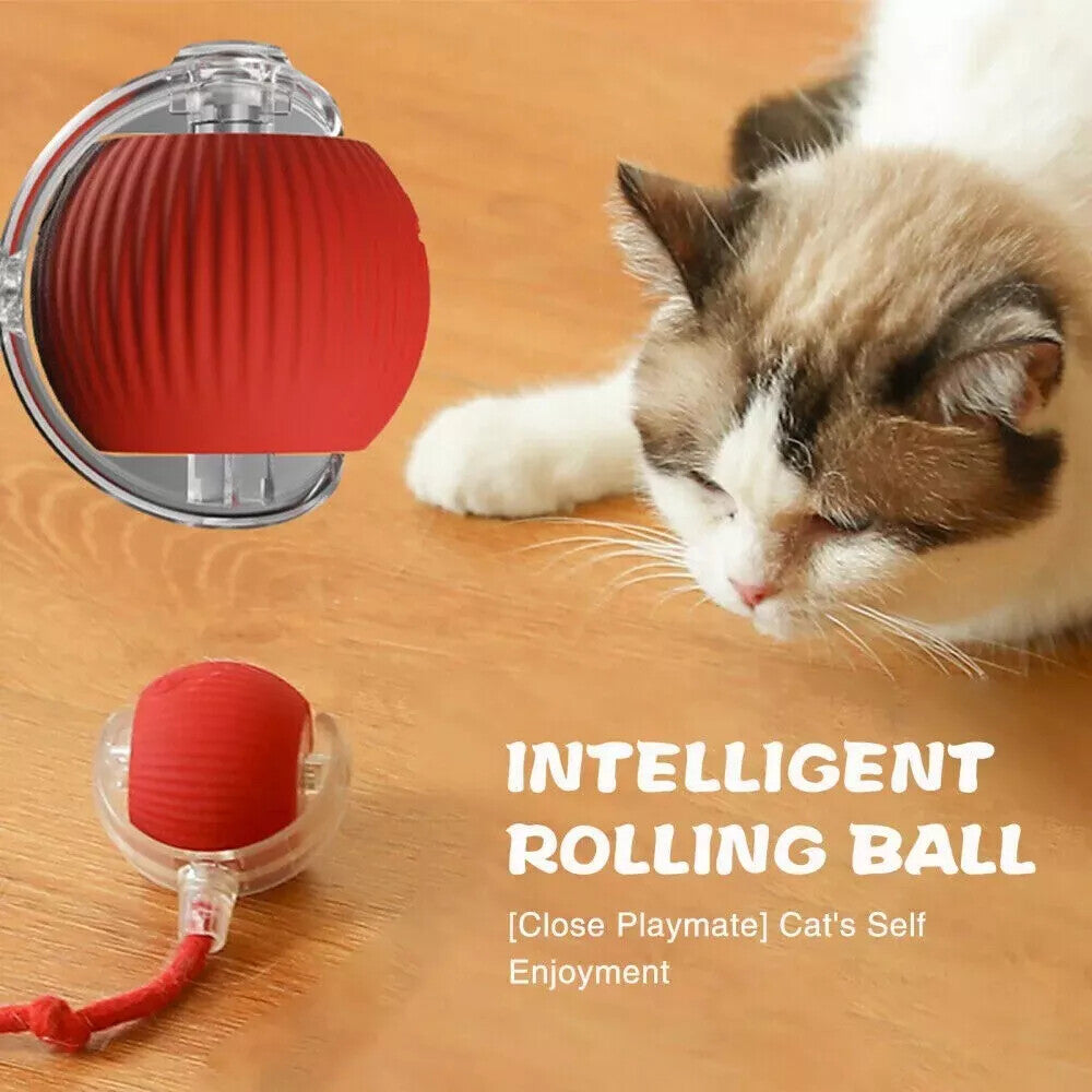Automatic Rolling Ball Smart Cat Dog Toy Electric Pet Interactive Self-Moving