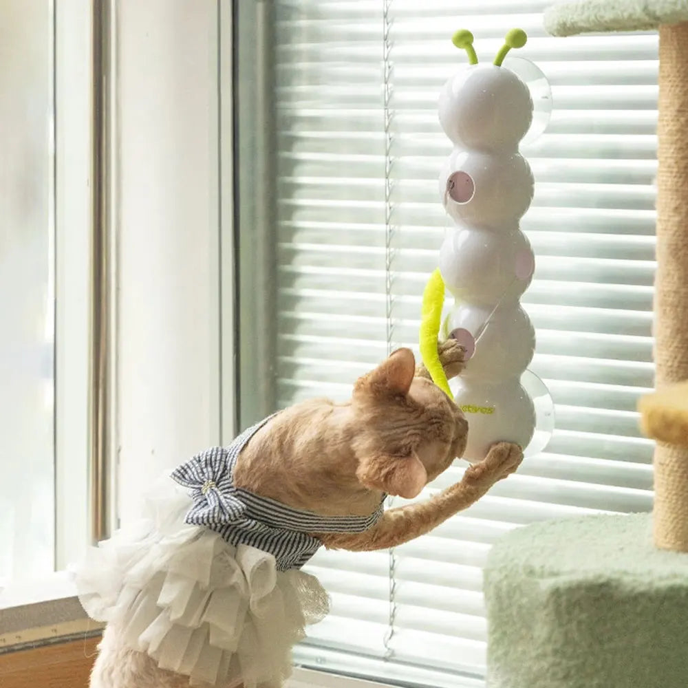 Interactive Caterpillar Cat Toy