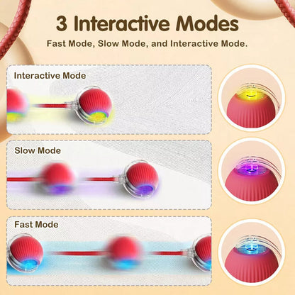 Automatic Rolling Ball Smart Cat Dog Toy Electric Pet Interactive Self-Moving