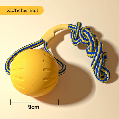 EVA Durable Dog Toys Pack